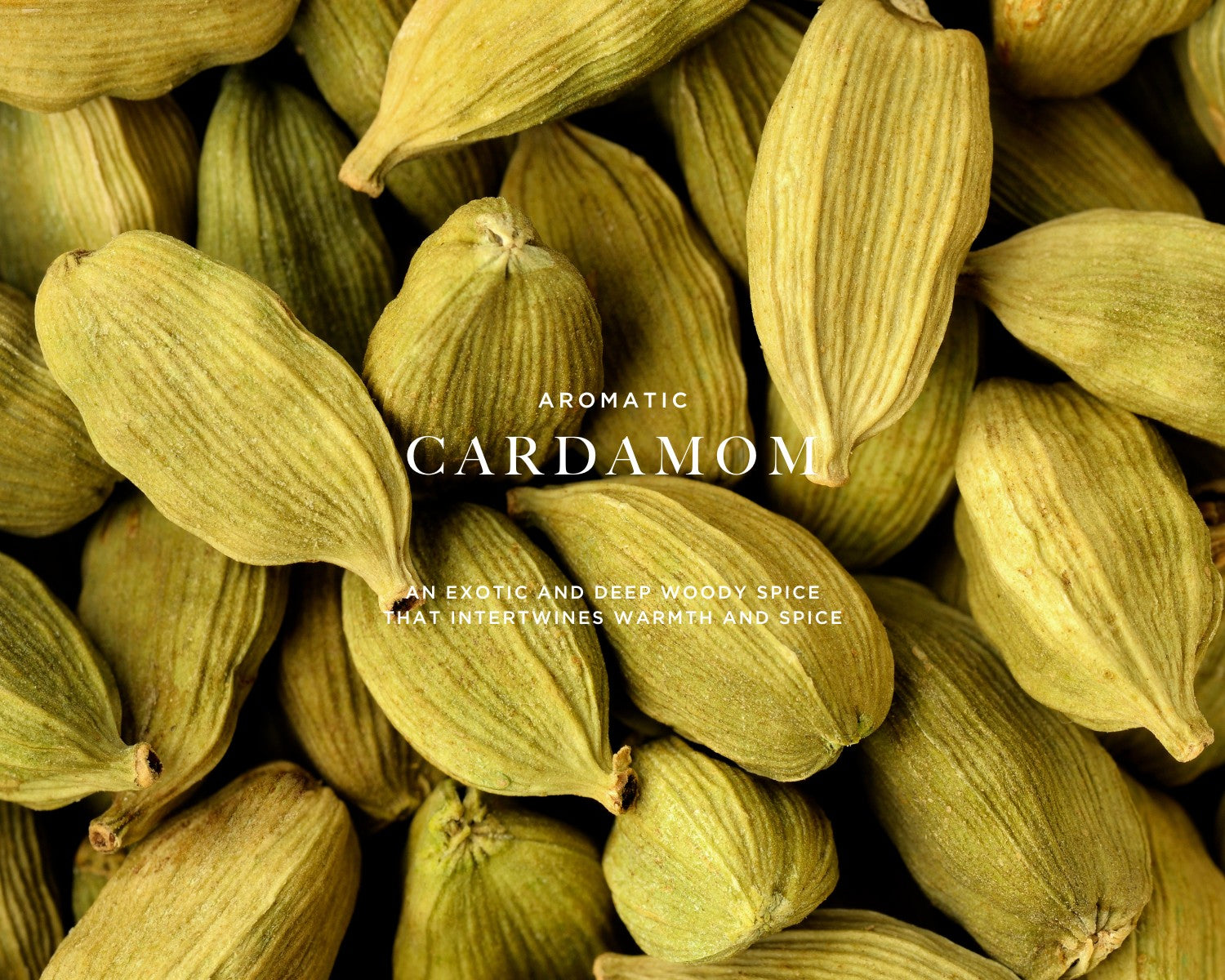 Heritage 2571 — top notes: cardamom · bergamot
