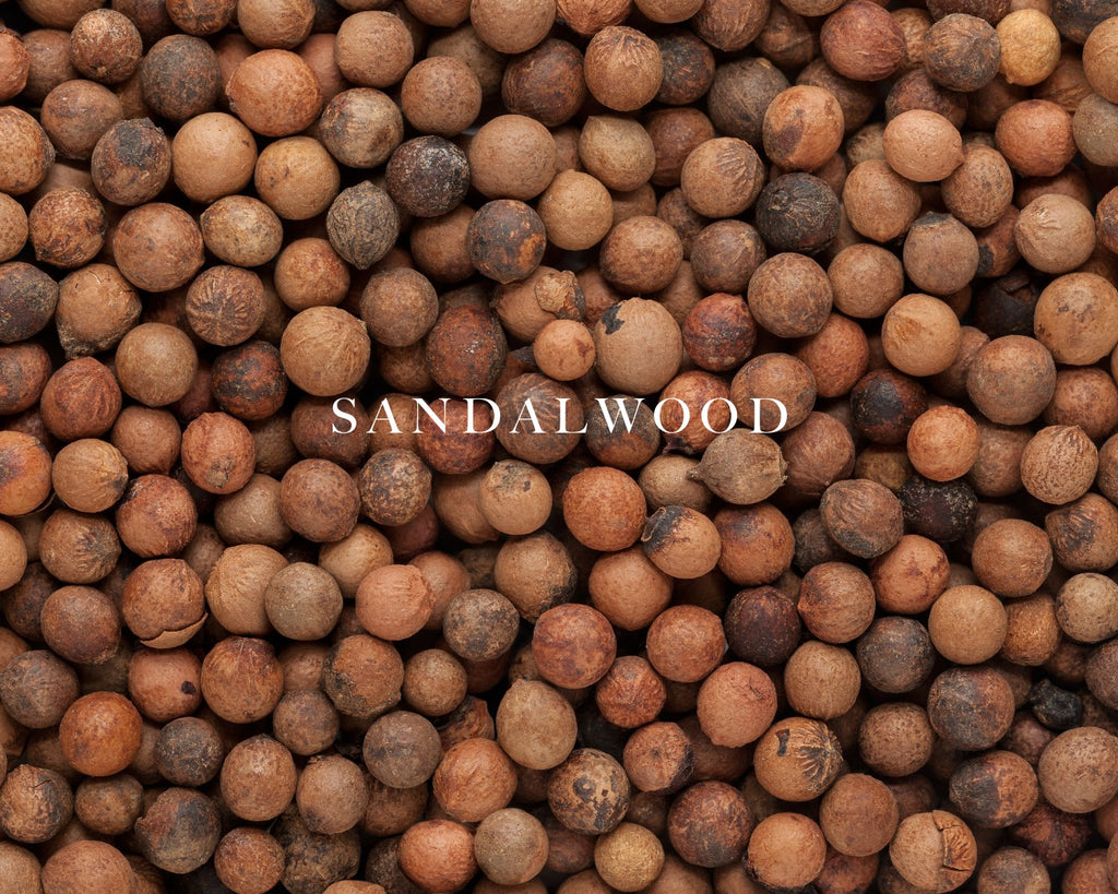 Heritage 2571 — base notes: sandalwood · vetiver · amber