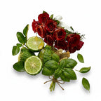 CRYOGEAR Caswell-Massey Jockey Club fragrance ingredients featuring red roses, bergamot, and fresh basil leaves.