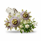 CRYOGEAR Caswell-Massey Elixir of Love perfume ingredients featuring passion flowers, white jasmine, and birch bark.